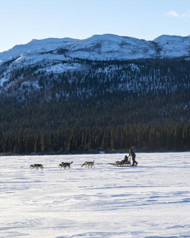 dog sledding on a frozen lake in the Yukon.