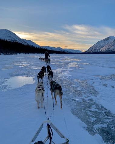 Mushing accros frozen lakes 