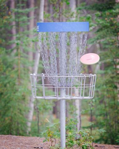 Disc going in the basket