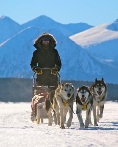 dogsleddingyukon1_000.jpg