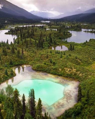 A cluster of bright teal pothole lakes among thick forest