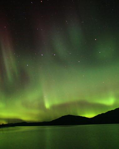 Green aurora shines above an open lake