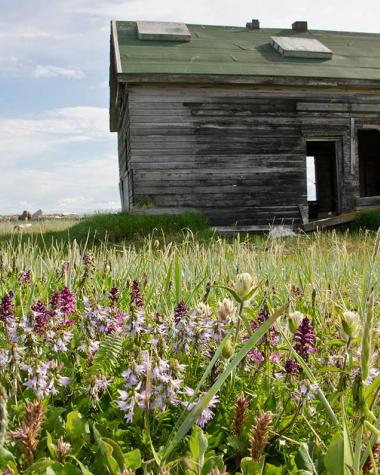 A historical building among brush