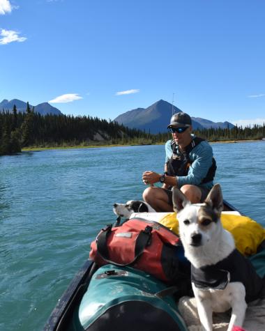 A dog and a paddler on a river