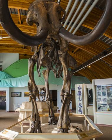 Inside the Beringia Interpretive Centre