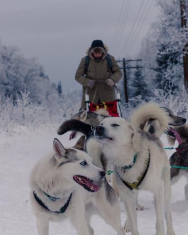 IMG_6916-min - Bertrand Bellencourt.jpg