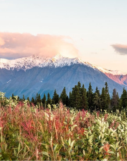 kluane montains