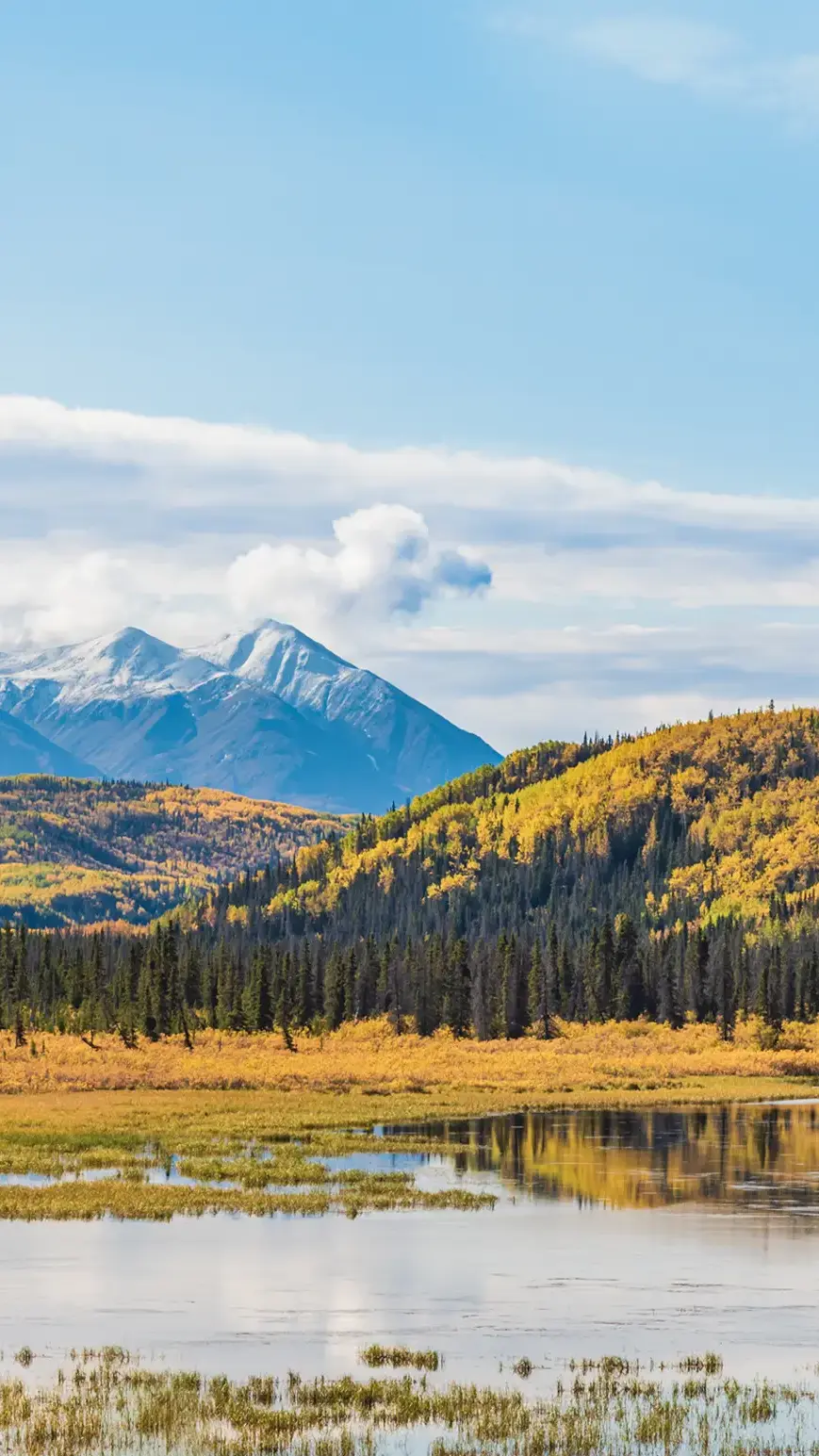 Landscape mountain front